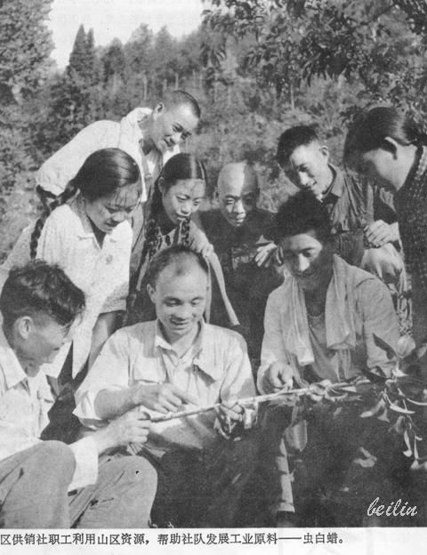 毛泽东时代《人民画报》，社会主义的建设者身影