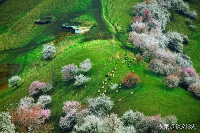 春天最美的十二个地方,你最想去哪个?