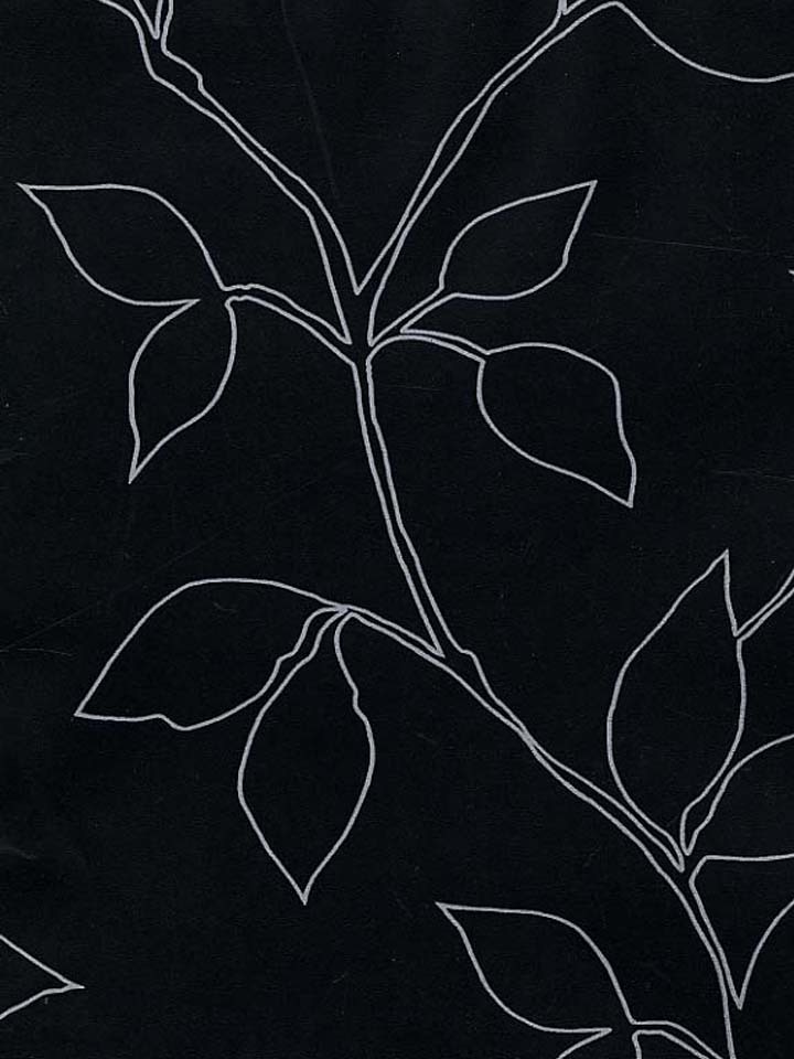 38张纯黑背景图片欣赏,今天最后的福利