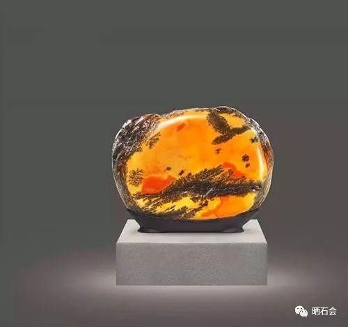 小县城发现的石头,捡来就能卖钱,成为当地人的聚宝盆