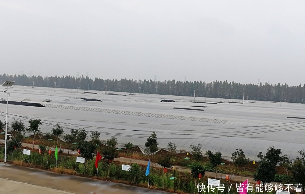  「今明」农民注意：今明2年，村干部带头严抓3件事，要警惕，违