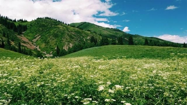 新疆有个地方,回归的时间比香港还晚,但是风景却非常美