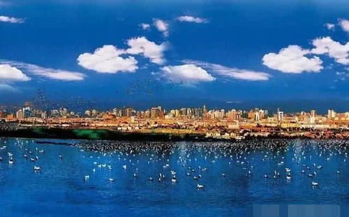 中国适合“避寒”的3大城市，冬天不冷，也是旅游胜地！