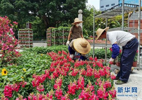  「新华社记者刘大伟摄」广州：扮靓街头迎“五一”