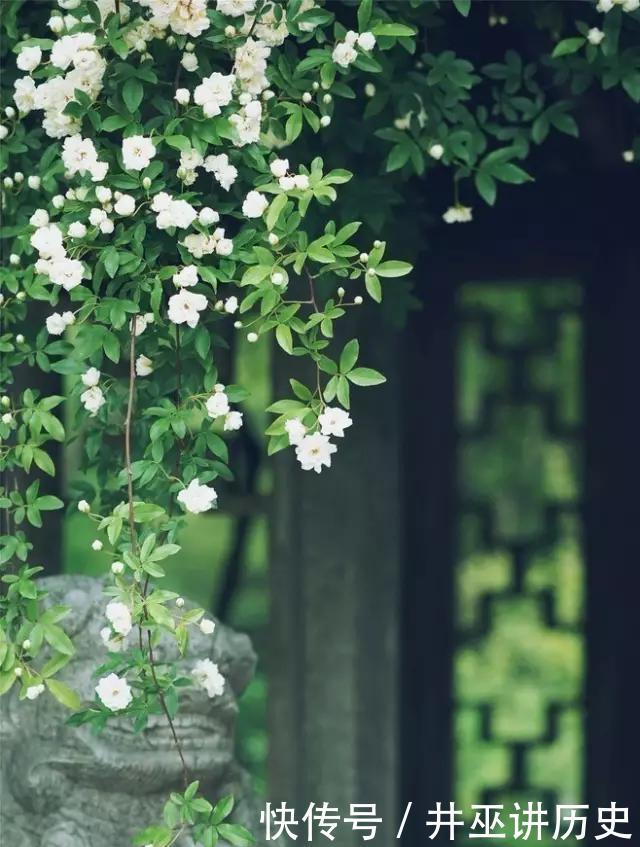  构图：你知道吗，春天拍花就要竖构图，拍出形态气质美