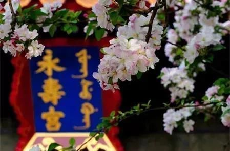 3月最佳旅行地榜单:十大绝美仙境，春暖花开美到窒息!