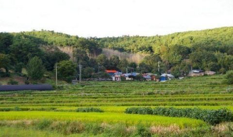 中国与韩国的生活差距很大吗？看看韩国的农村后，差距不是一般大