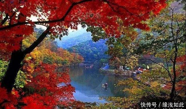 中国北方最美的枫叶,国庆赏秋的最佳去处,和南方差别很大