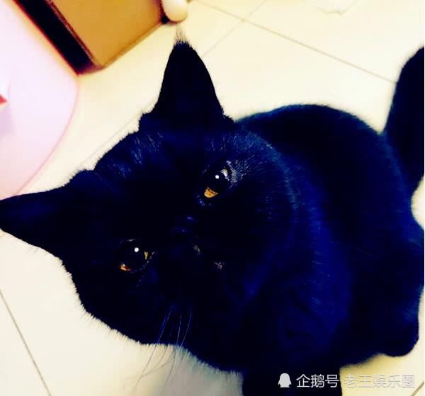 《跑男7》相恋不到一年，被传出分手消息，被制作方紧急辟谣