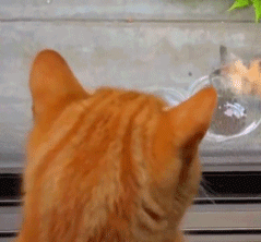  「补缴」社保断交一次，这些资格竟然要全部清零？快点用这些方