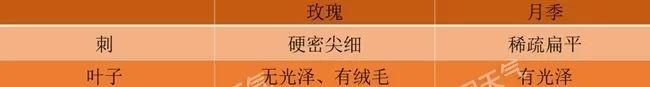  『樱花』天气回暖花开正好，赏花达人速成秘诀看过来