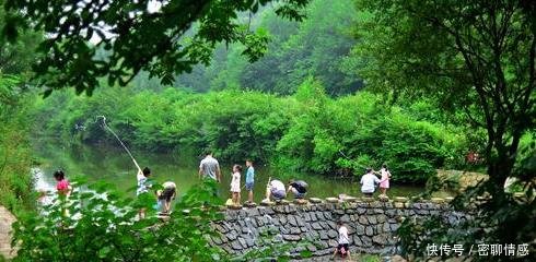  「落榜」河南最适宜居住的城市，连续八年入选，郑州南阳落榜，