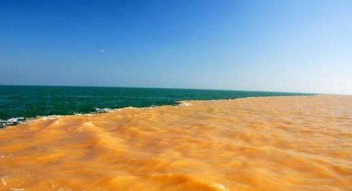 黄河会把“渤海”填平吗？看看海岸线的变化或许就知道了