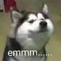 9月1起铜陵人处理违章需要人脸识别？扯淡！