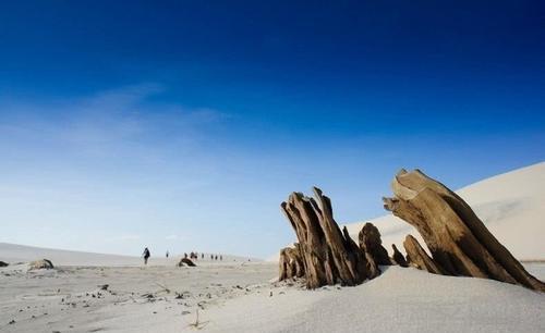 巴西有个奇特的沙漠:不仅没有漫天的黄沙,还鱼虾成群!