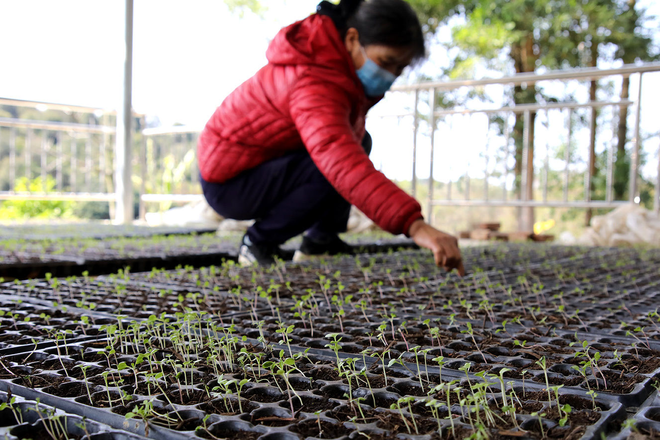  争分夺秒@广东疫线报告|疫情下的“菜篮子”：一场争分夺秒的全