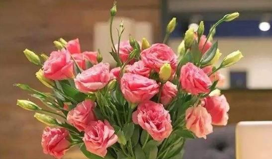  #漂亮#这5款夏季花卉，花朵漂亮显高级，养在客厅美出新天地，艳丽多姿