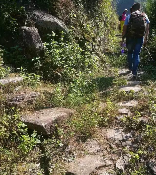  「大若岩镇」温州芙蓉岭古道，浙江省十大人文古道之一