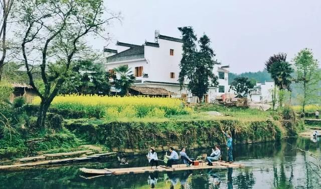 “最美乡村”的称号的婺源花开得美爆了！