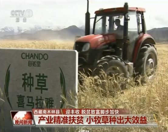 央视晚间新闻报道自然堂喜马拉雅公益种草项