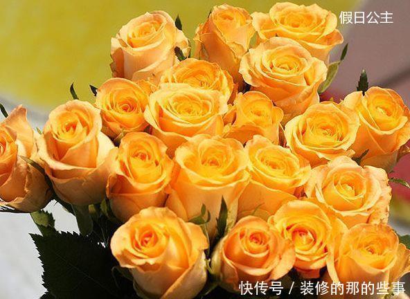  『玫瑰』客厅养花，就养盆“高贵玫瑰”假日公主，花开金光四射，高贵优雅