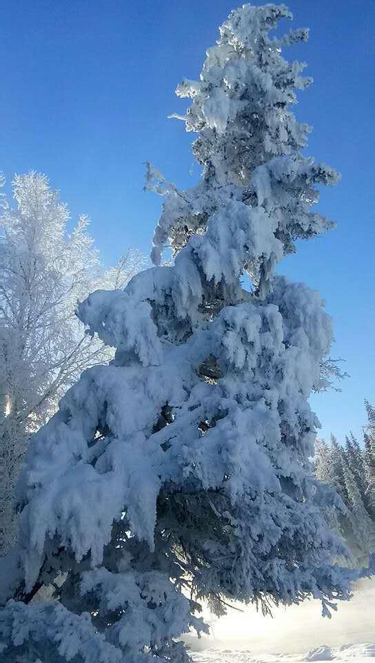 山上已经下雪了