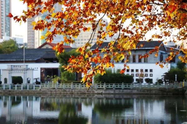  叶殿秀■强冷空气来袭！今年暖冬的可能性很大