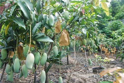 刚刚公布!云南这4个地方被国家看上,成为康养城市!有你在的地方