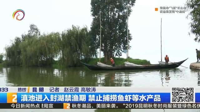  [鱼虾]滇池进入封湖禁渔期，禁止捕捞鱼虾等水产品