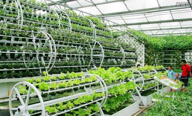 农村没有赚钱的可能？这五种农业项目，最高国家可补贴10亿