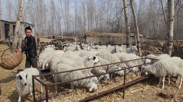  「养殖场」好消息！ 农村三种养殖场严格核对，农民担心的污染问