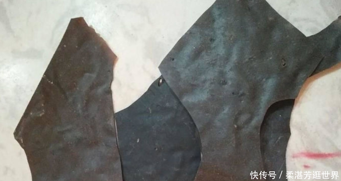  「除害」农田中除害小能手，现在要靠人工养殖，只因身怀珍贵药