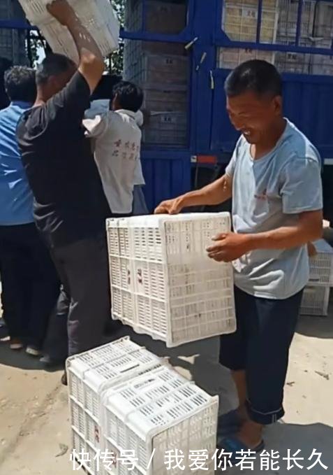 实拍拉货车刚一进村，货筐就遭到村民哄抢，不然水果就烂树上了