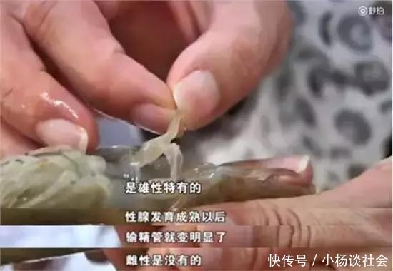 棉花肉松？塑料大米？朋友圈的8大谣言，你被忽悠过几次？