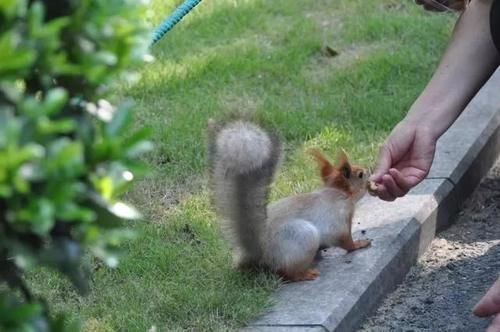 去公园的去公园