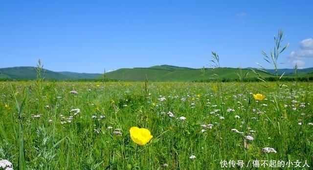 呼伦贝尔最美边防公路