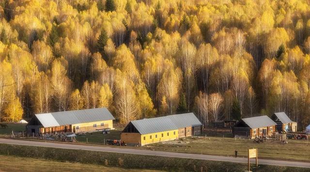  敢花钱：农民一辈子辛苦挣的钱，都花在这里了！省吃俭用依然穷