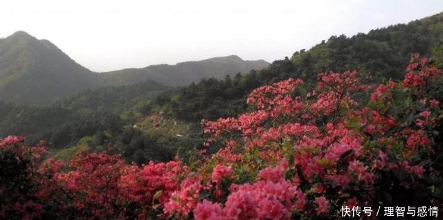 内蒙游玩全攻略来袭，全年各个旅行时间段大盘点