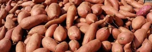  「心酸」曾卖3元，现在堆在路边不要钱也无人问津，看农民的裂手