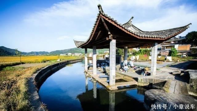 秋天的云南，哪个地方最美？这里的三千银杏，黄了整个世界