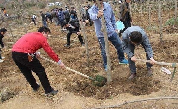  农民|农村出现“退租潮”，一亩500也难出租，种粮大户为啥不爱