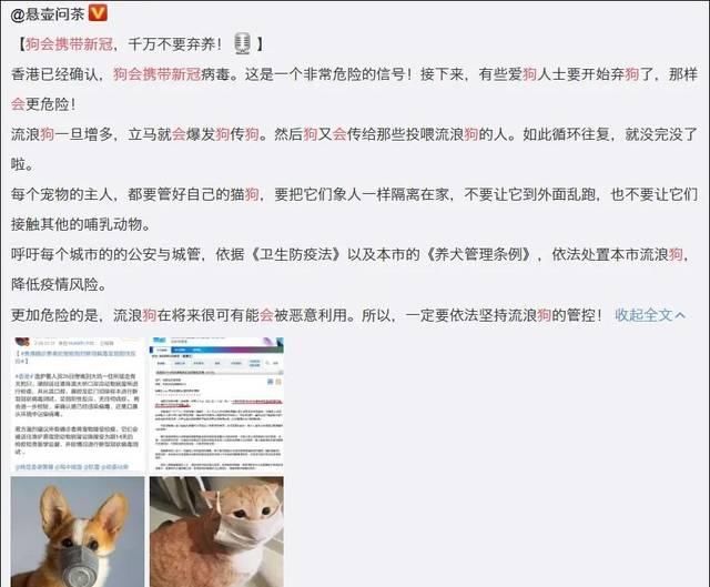 世界卫生组织■网传宠物确诊新冠病毒?世界卫生组织再次紧急辟谣!