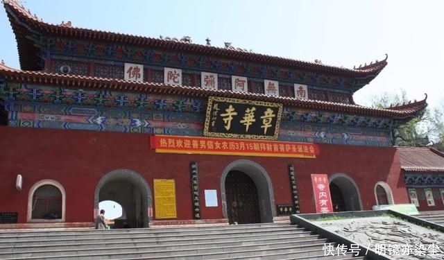  「银杏树」这十大长寿树王：棵棵大有来头，第一名比中国历史还