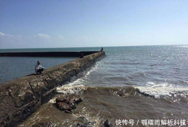  『钓法』石斑鱼来自海洋的“鸡肉”该如何垂钓？