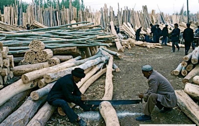  「镜头」美国人镜头下的1988年新疆：没想到30年前的新疆是这样