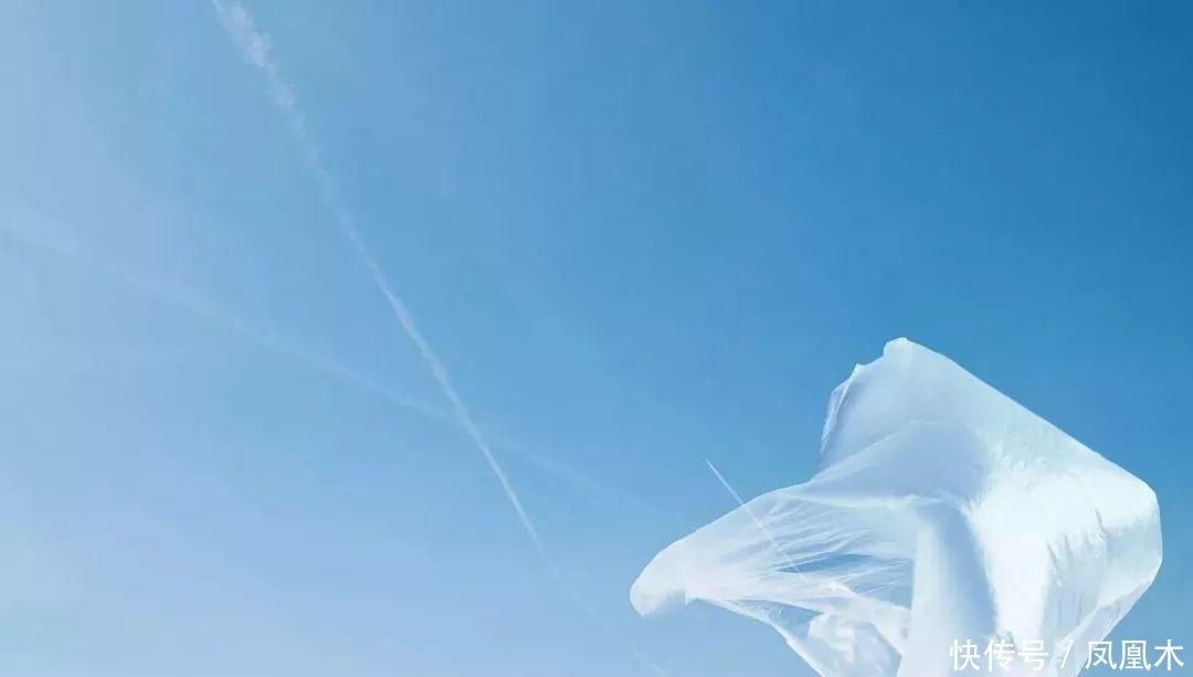 昨天京广高铁紧急停车20分钟! 多趟列车晚点! 始作俑者就是你!