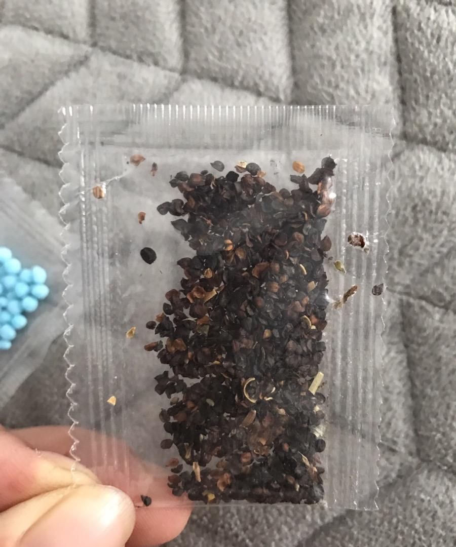 『刚好』现在撒几粒这种子，母亲节刚好长出一捧花，既有心意还省钱！