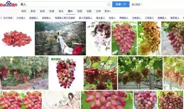 造谣明星去世、卖贴吧骗病友钱……骂了8年百度缺德，你以为谷歌