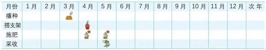  技巧：阳台“豆”菜乐园，将豆类盆栽蔬菜栽培技巧统统收集在此！