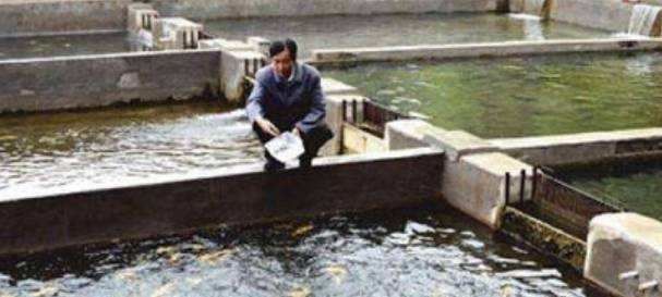  可行：“上面养鸡，下面养鱼”，鸡鱼共养的养殖模式可行吗？看完有数了